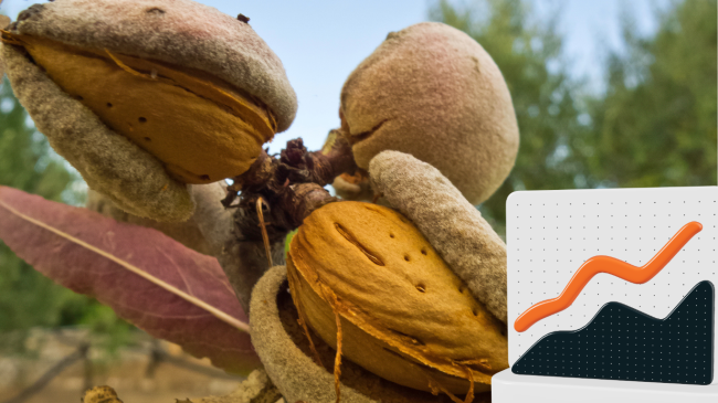 Un marché sous tension après les expéditions de mars - Tradifruit