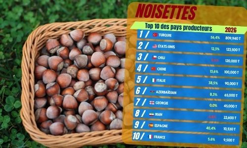 La carte mondiale de la noisette pourrait changer - Tradifruit